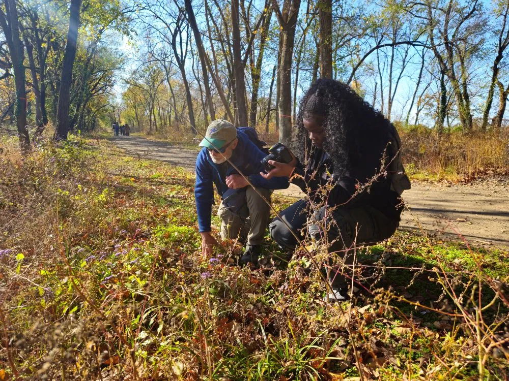 Share Your Expertise